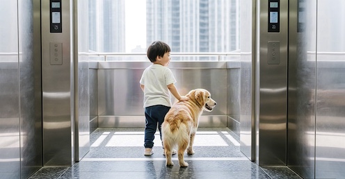 Build A Solid Safety Line For Children And Pets